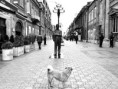 /album/trend/010-a-loyal-man-hachio-jpg/
